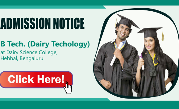 Click and submit your application